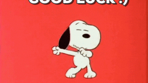 Good Luck GIFs - Find & Share on GIPHY