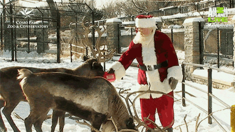 Santa Is All Set for the Big Day best Gif