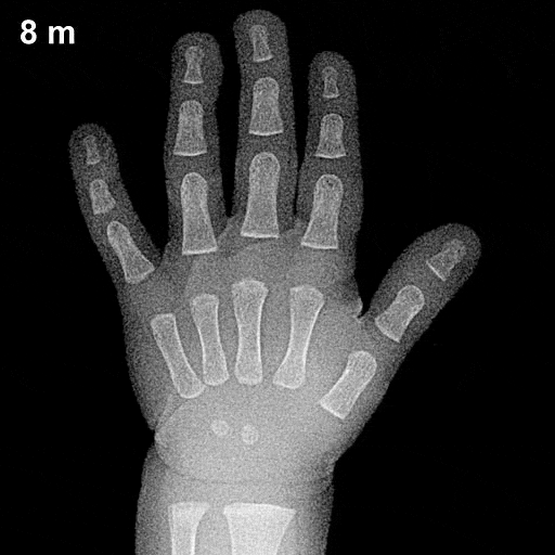 Hand Grow GIF - Find & Share on GIPHY