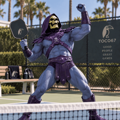 TOCO67 Pickleball GIF UN13XnynFCP3Iuu8V9