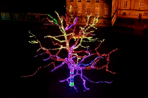 ‘Magic tree of light’ in Eye of York could be chopped down under revamp plans