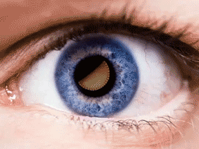 Eye Eyeball GIF - Find & Share on GIPHY
