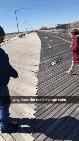 The road changes color in wtf gifs