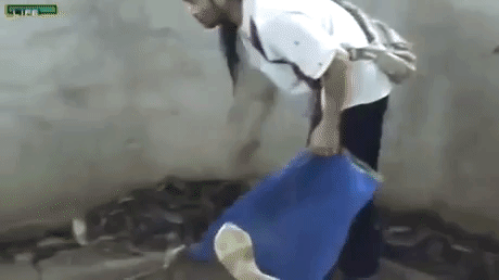 Snake Game Over in funny gifs