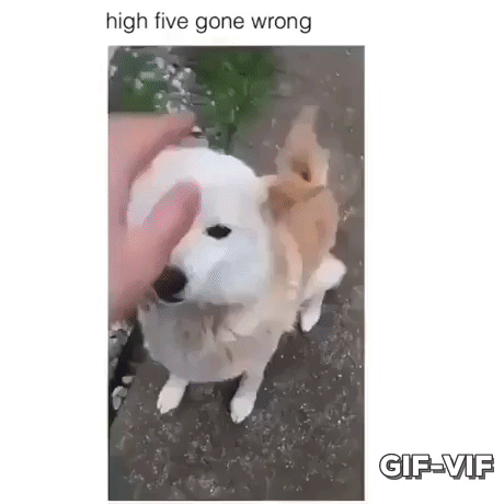 HiFi Gone Wrong in funny gifs
