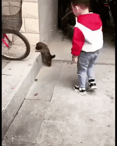 Little guy helps another little guy in funny gifs