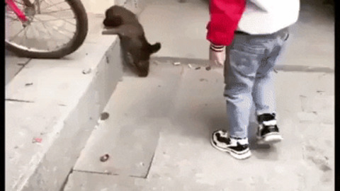 Little guy helps another little guy