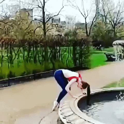 giphy.gif