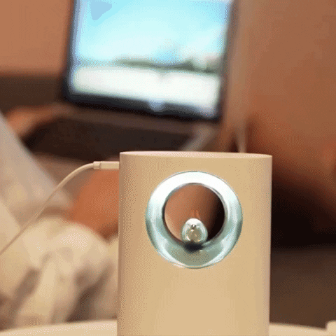 Bird Singing Essential Oil Diffuser - Air Humidifier