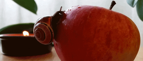 apple gifs animated