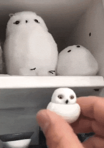 Owl and his fake friends in funny gifs