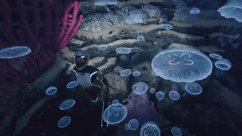 tortue luth jeu vidéo Beyond Blue méduse plongeuse