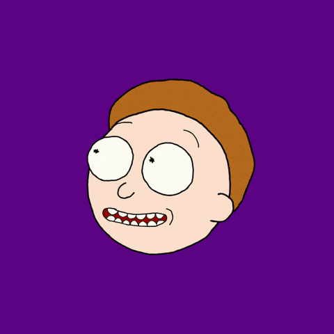 t shirt rick et morty which rick