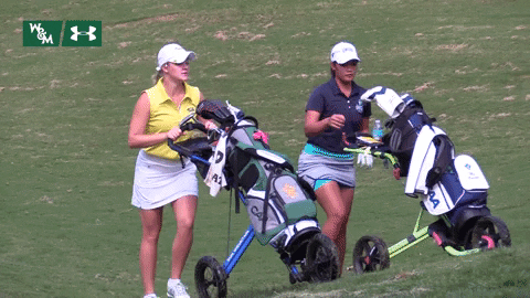 William & Mary Tribe Athletics GIF