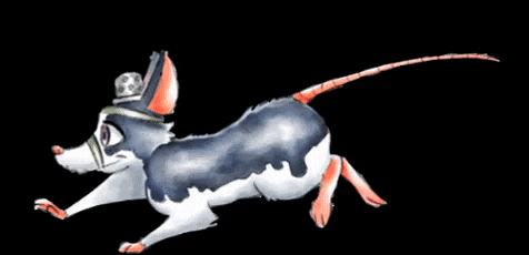 Cursinho Sapiência GIF