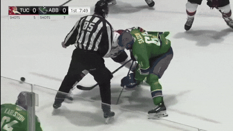giphy.gif