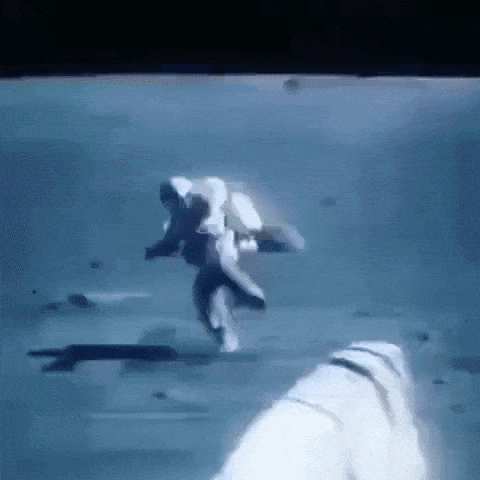 No gravity is fun in funny gifs