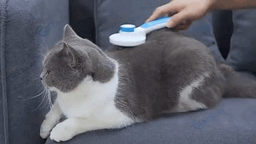 EZ-Clean Pet Slicker Brush – Swag & Wags