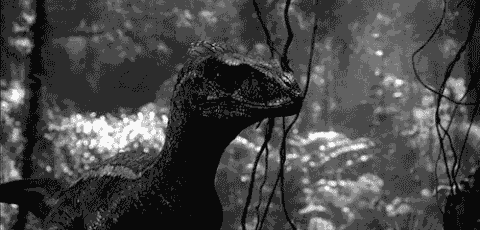 velociraptor fighting
