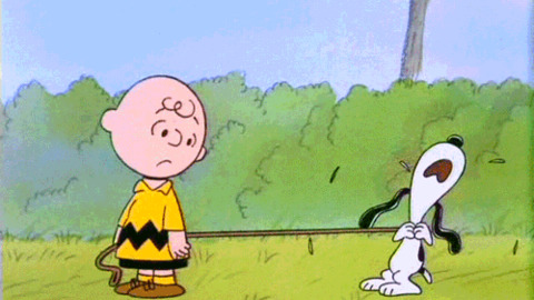 Peanuts Gif - Find & Share On Giphy