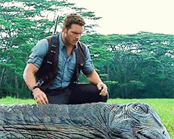 Chris Pratt in Jurassic Park