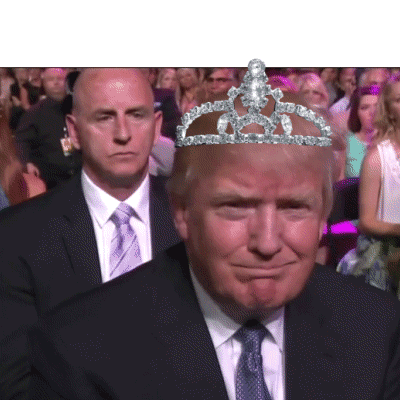 Donald Trump GIF - Find & Share on GIPHY