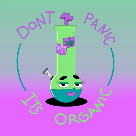 giphy.gif