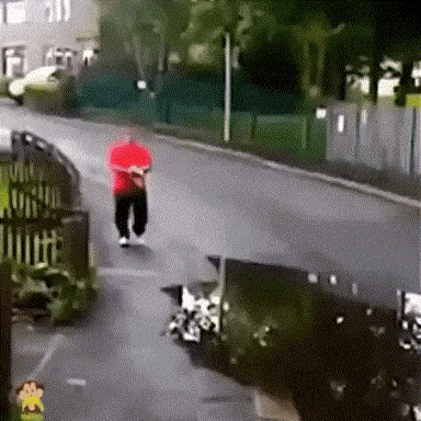 Really a bad day in funny gifs