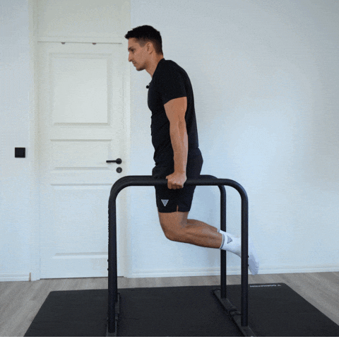 dips exercise demonstration