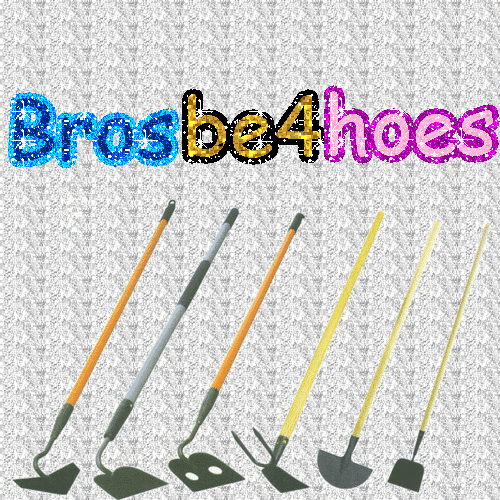 Bros Hoes GIF Find & Share on GIPHY