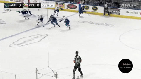 giphy.gif