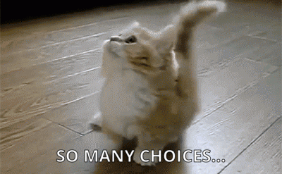 Which One Choices GIF - Find & Share on GIPHY