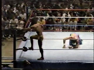 1. Singles Match (Non-title): "Ravishing" Rick Rude vs. Jake "The Snake" Roberts Giphy
