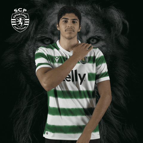 Andebol GIF by Sporting CP