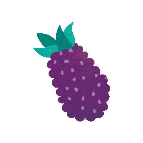 Giphy Flores CBD Purple Berry 1gr