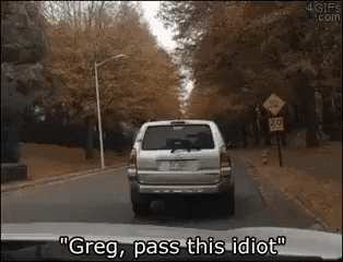 Dog driver in funny gifs