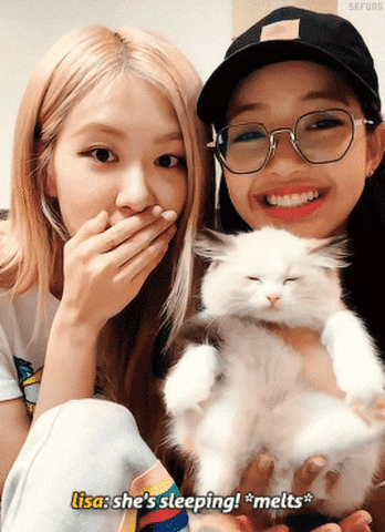Đây là Lily khi còn nhỏ (GIF: Internet)