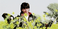 Image result for Dilwale dulhania le jayenge gif