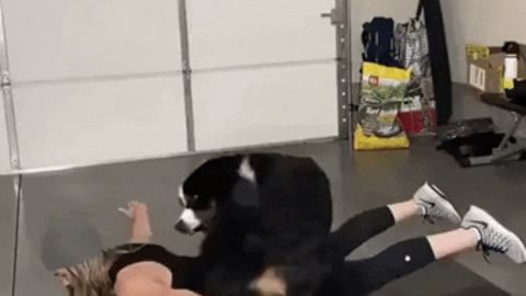 Trying to workout with dog