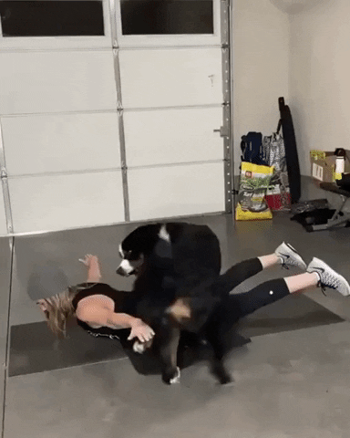 Trying to workout with dog in funny gifs