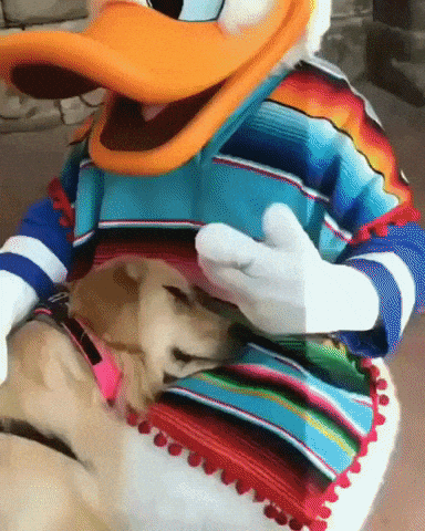 Best friends forever in funny gifs