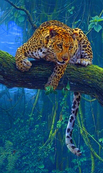 Tiger Jungle GIF - Find & Share on GIPHY
