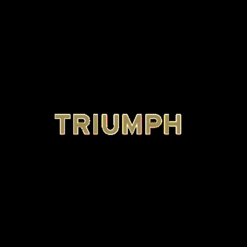 triumph studios next game