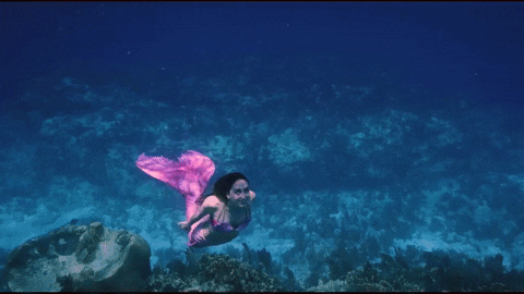 Mermaid Jules Swimming