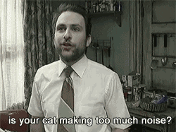 Charlie Day Cat GIF by Maudit