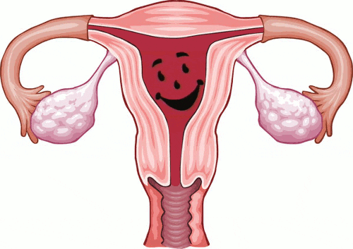 Menstruation GIF