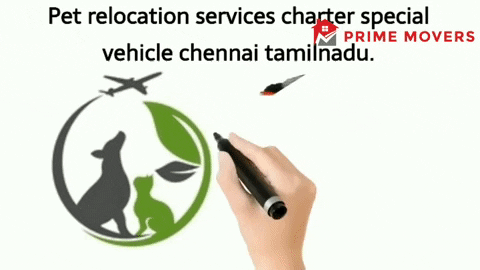 Pet transport service Chennai