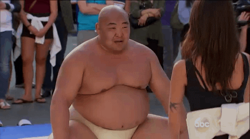 Sumo Wrestler GIF - Find & Share on GIPHY