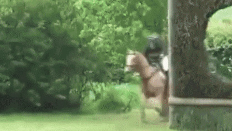 Nice Ride best Gif