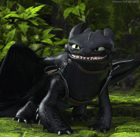 Toothless GIF - Find & Share on GIPHY